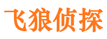 东宝侦探公司